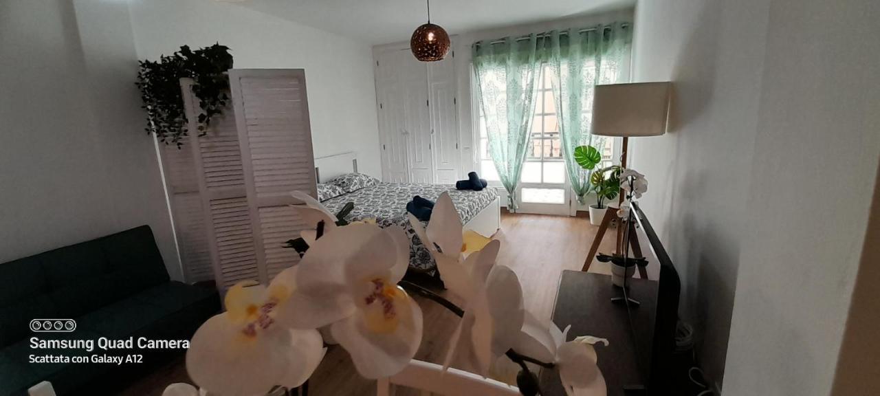 코라레호 Loft 105 아파트 외부 사진